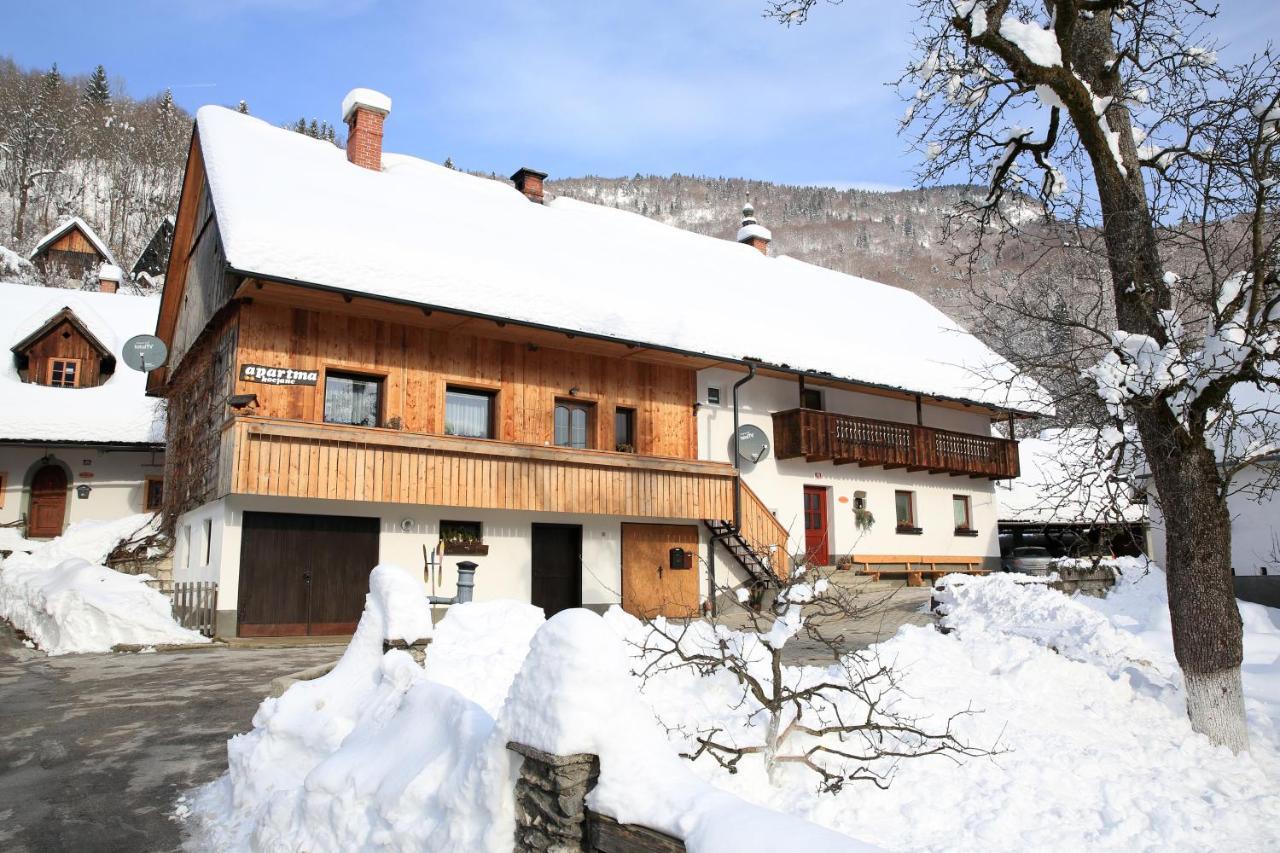 Apartments Kocjanc Bohinj Exterior foto