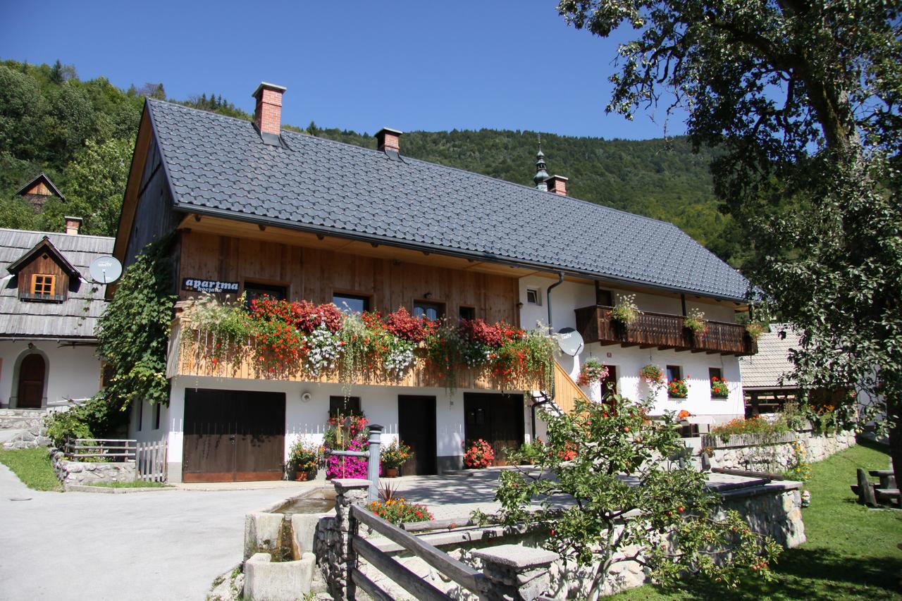 Apartments Kocjanc Bohinj Exterior foto