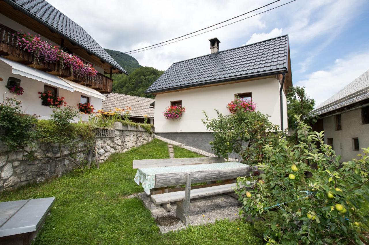 Apartments Kocjanc Bohinj Exterior foto